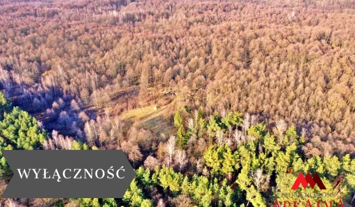 Działka leśna Wistka Królewska
