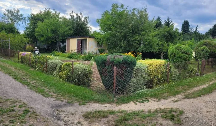 Działka rod Lubin Przylesie