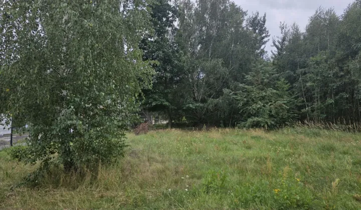 Działka budowlana Szczaki, ul. Myszki