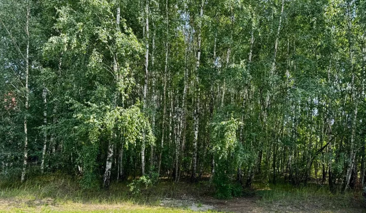 Działka budowlana Plichtów