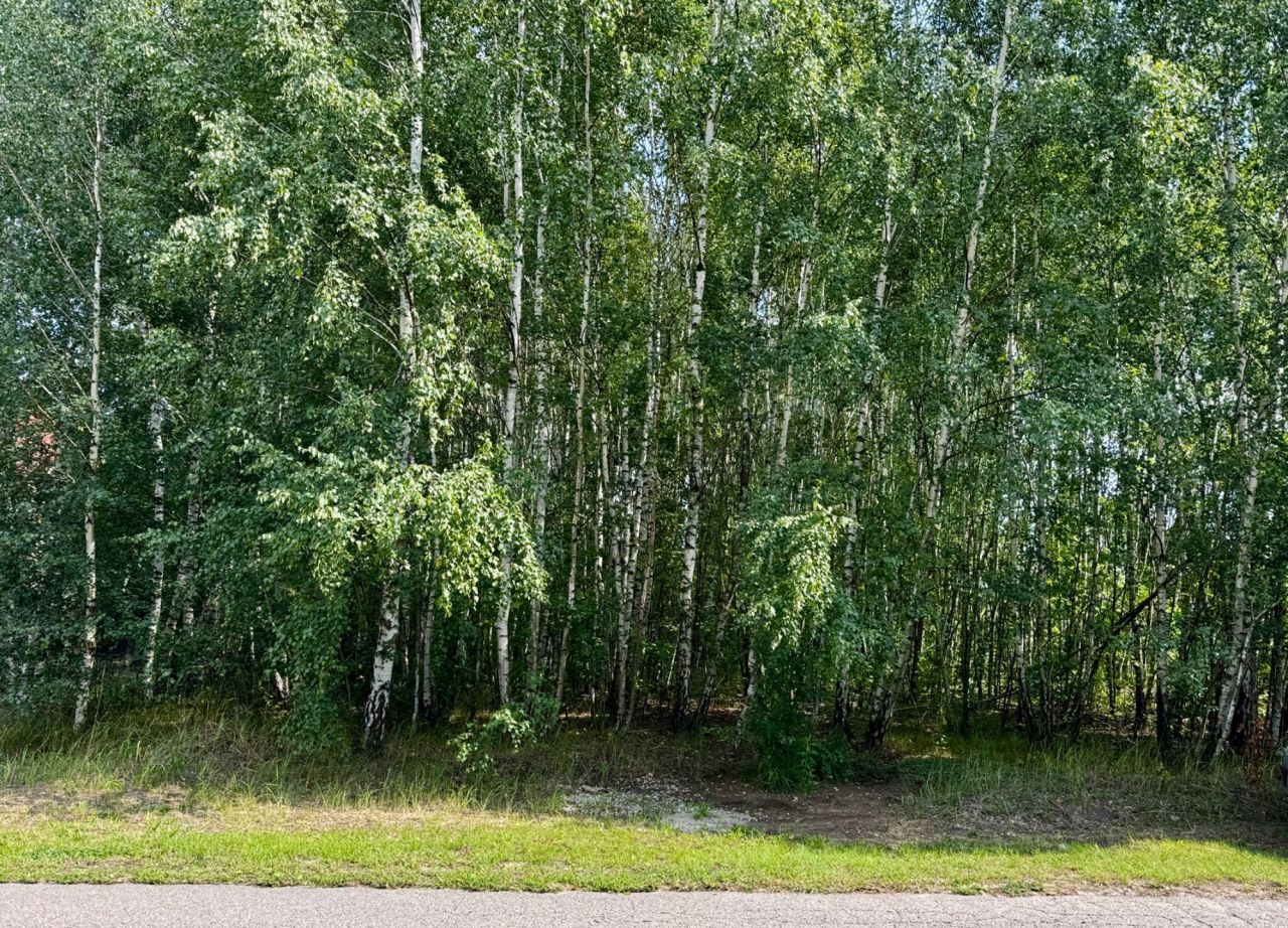 Działka budowlana Plichtów. Zdjęcie 1