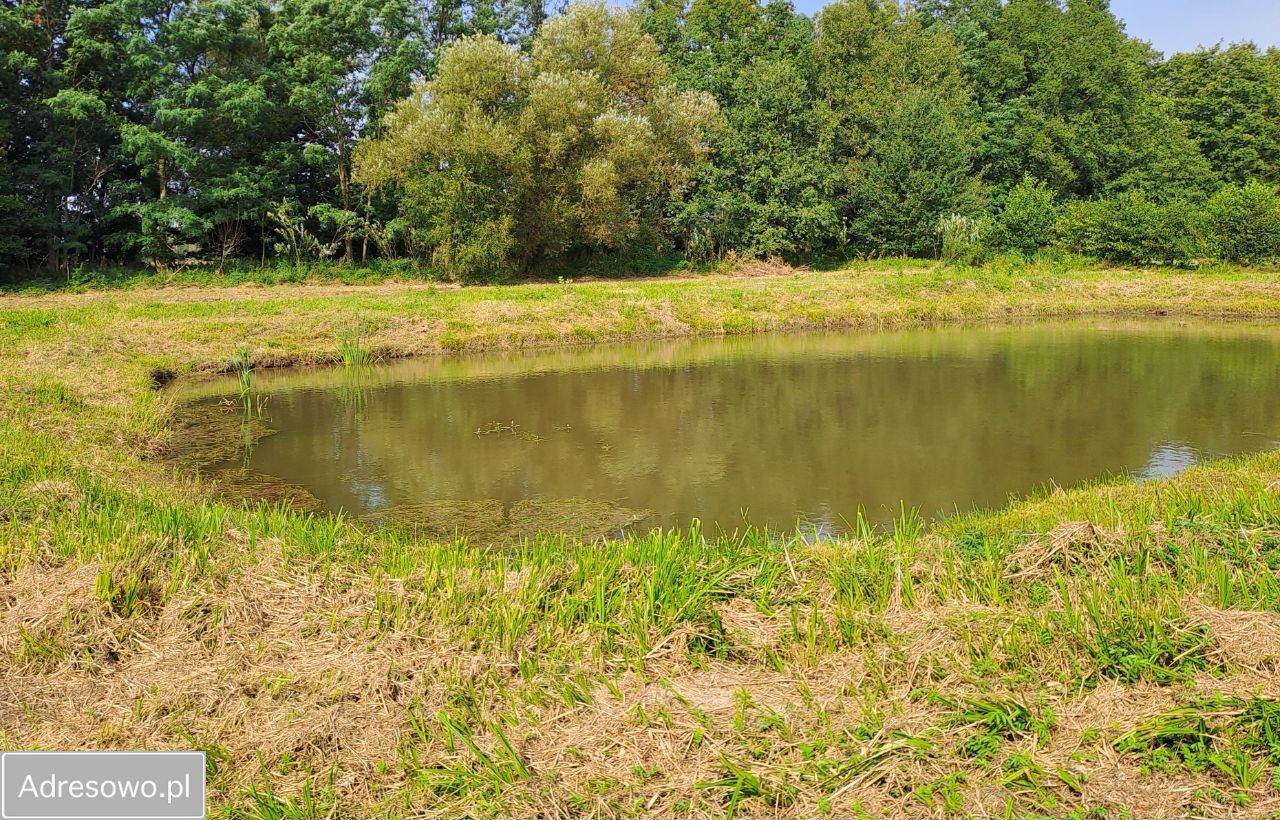 Działka budowlana Ostrzeszów. Zdjęcie 6