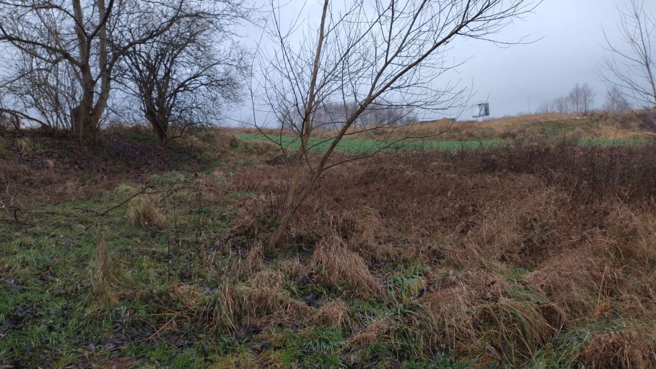 Działka budowlana Targowisko. Zdjęcie 3