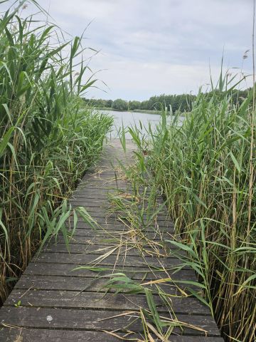 Działka budowlana Brzuze. Zdjęcie 13