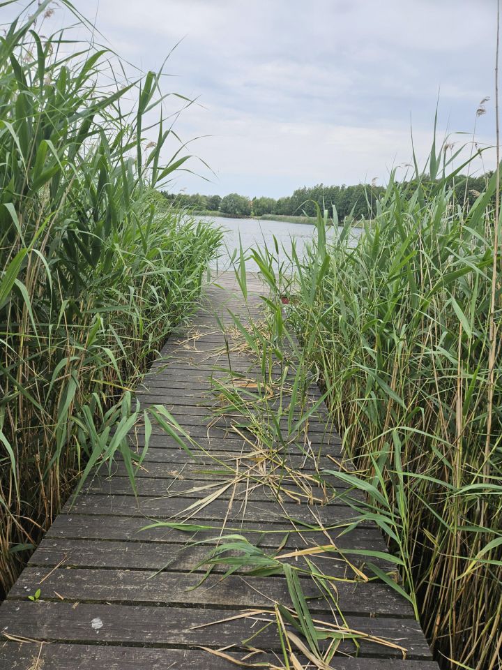 Działka budowlana Brzuze. Zdjęcie 13