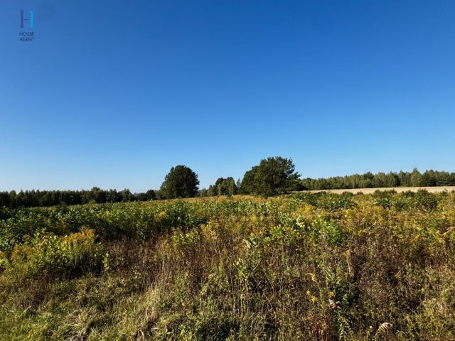 Działka inwestycyjna Stary Imielnik. Zdjęcie 11