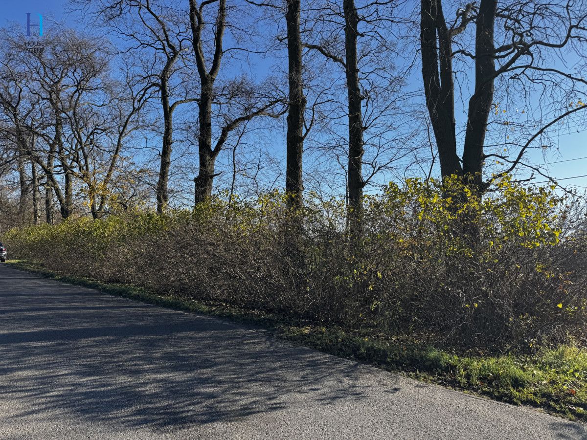 Działka siedliskowa Kolonia Łaznów. Zdjęcie 11