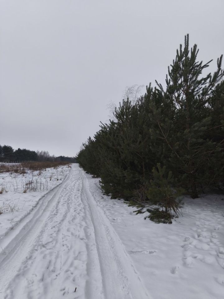 Działka budowlana Maków. Zdjęcie 2