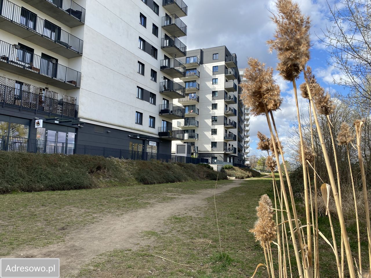 Mieszkanie 1-pokojowe Wrocław Psie Pole, ul. Antoniego Słonimskiego. Zdjęcie 6