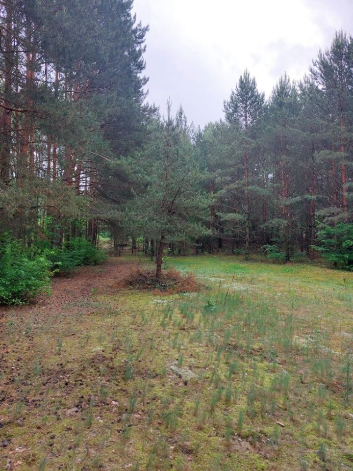 Działka rolno-budowlana Prabuty. Zdjęcie 2