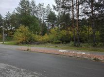 Działka rolno-budowlana Nisko Warchoły, ul. Rzeszowska Boczna II. Zdjęcie 1
