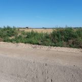 Działka rekreacyjna Powidz, ul. 29 Grudnia. Zdjęcie 2