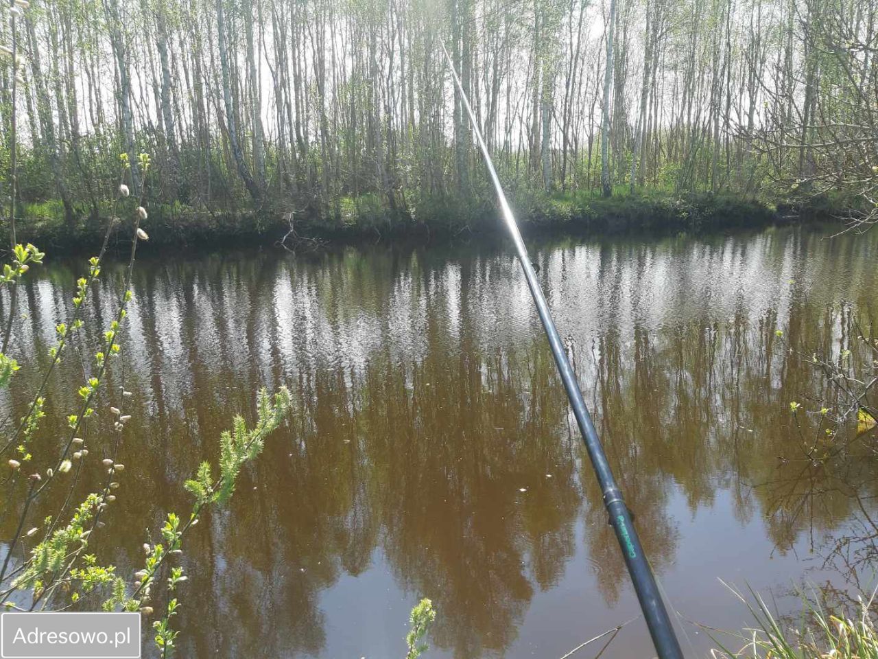 Działka rolna Perlino, ul. Lipowa