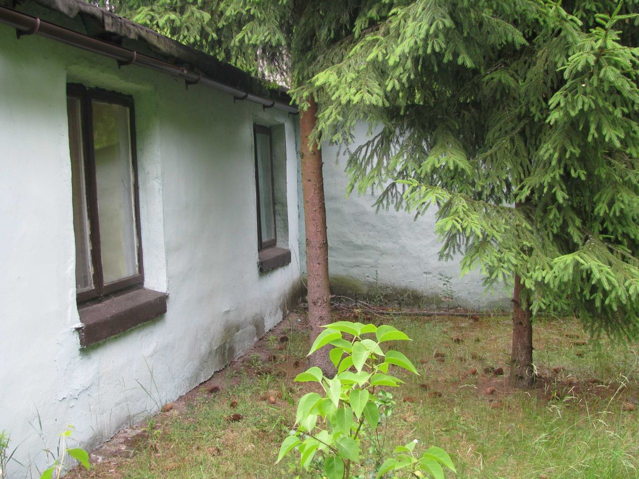 Działka budowlana Michałów-Reginów. Zdjęcie 5