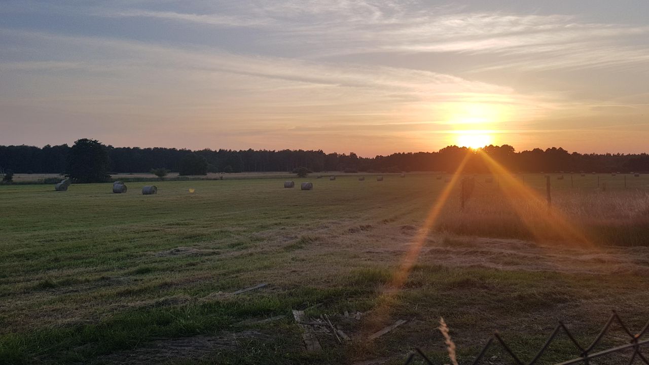 Działka budowlana Sarbsk, Sarbsk. Zdjęcie 1