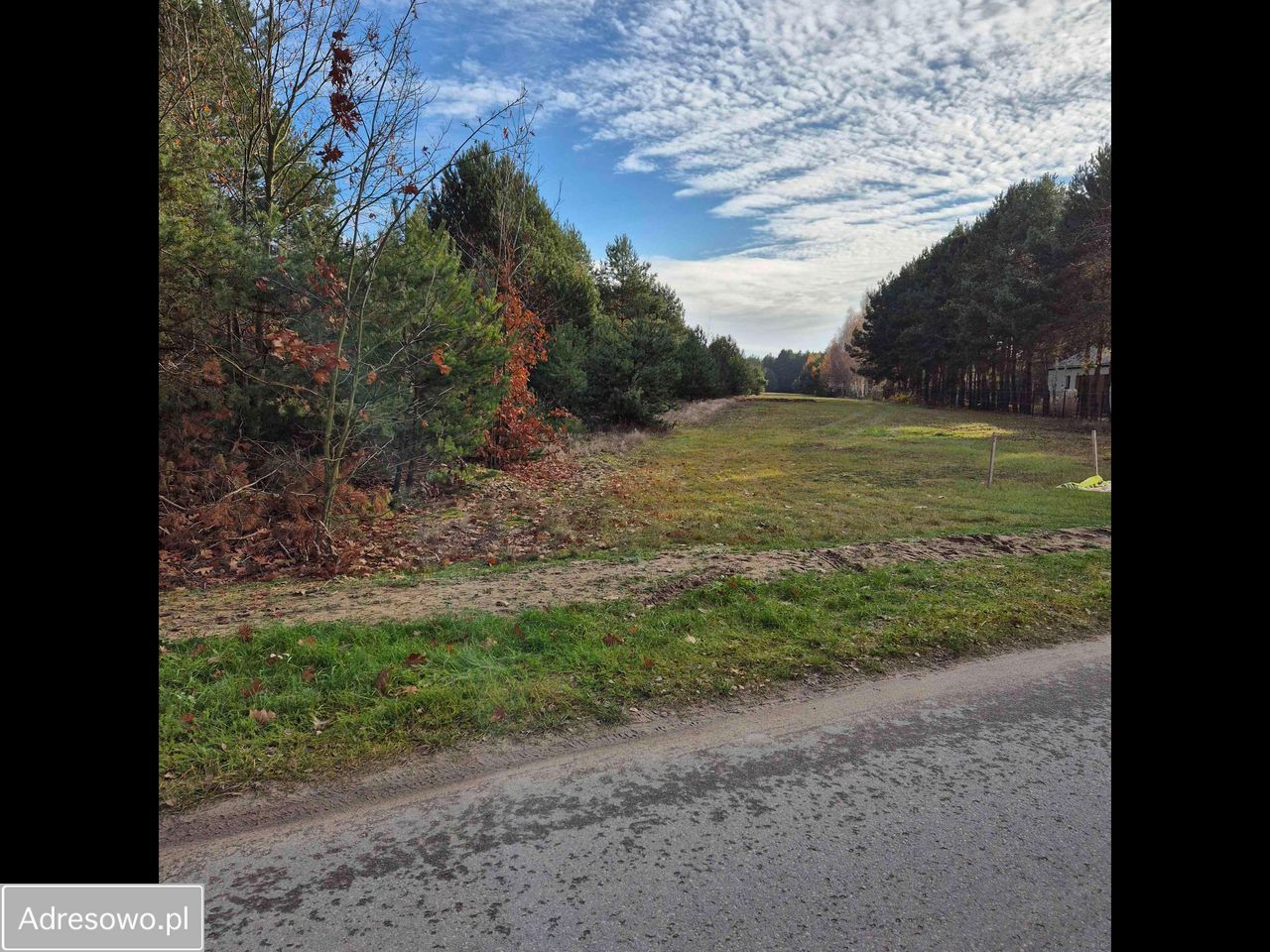 Działka rekreacyjna Biała Góra. Zdjęcie 3