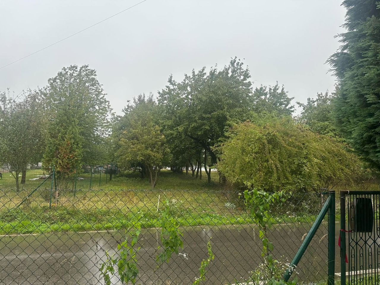Działka rolna Mzurów. Zdjęcie 4
