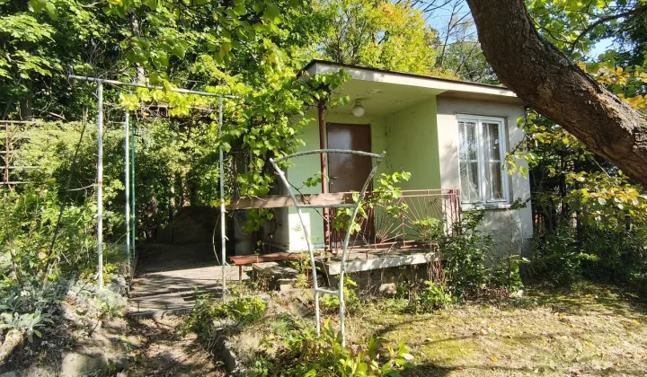 Działka rod Grudziądz, ul. Klonowa