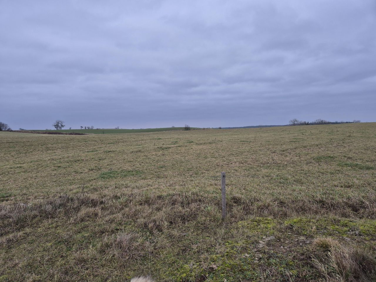 Działka rolna Nawiady. Zdjęcie 7