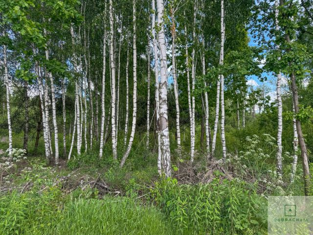 Działka budowlana Wola Rowska. Zdjęcie 3