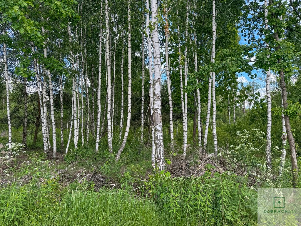 Działka budowlana Wola Rowska. Zdjęcie 3