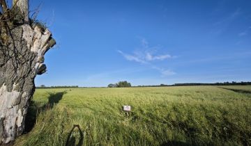 Działka rolna Starowola