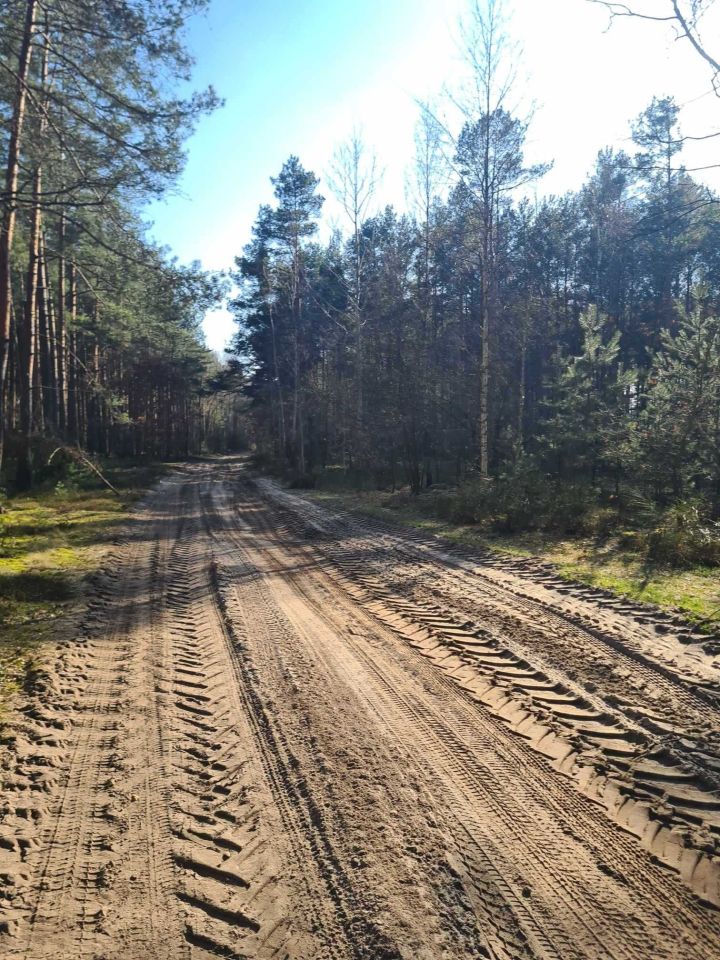 Działka leśna Huta Przerębska. Zdjęcie 5