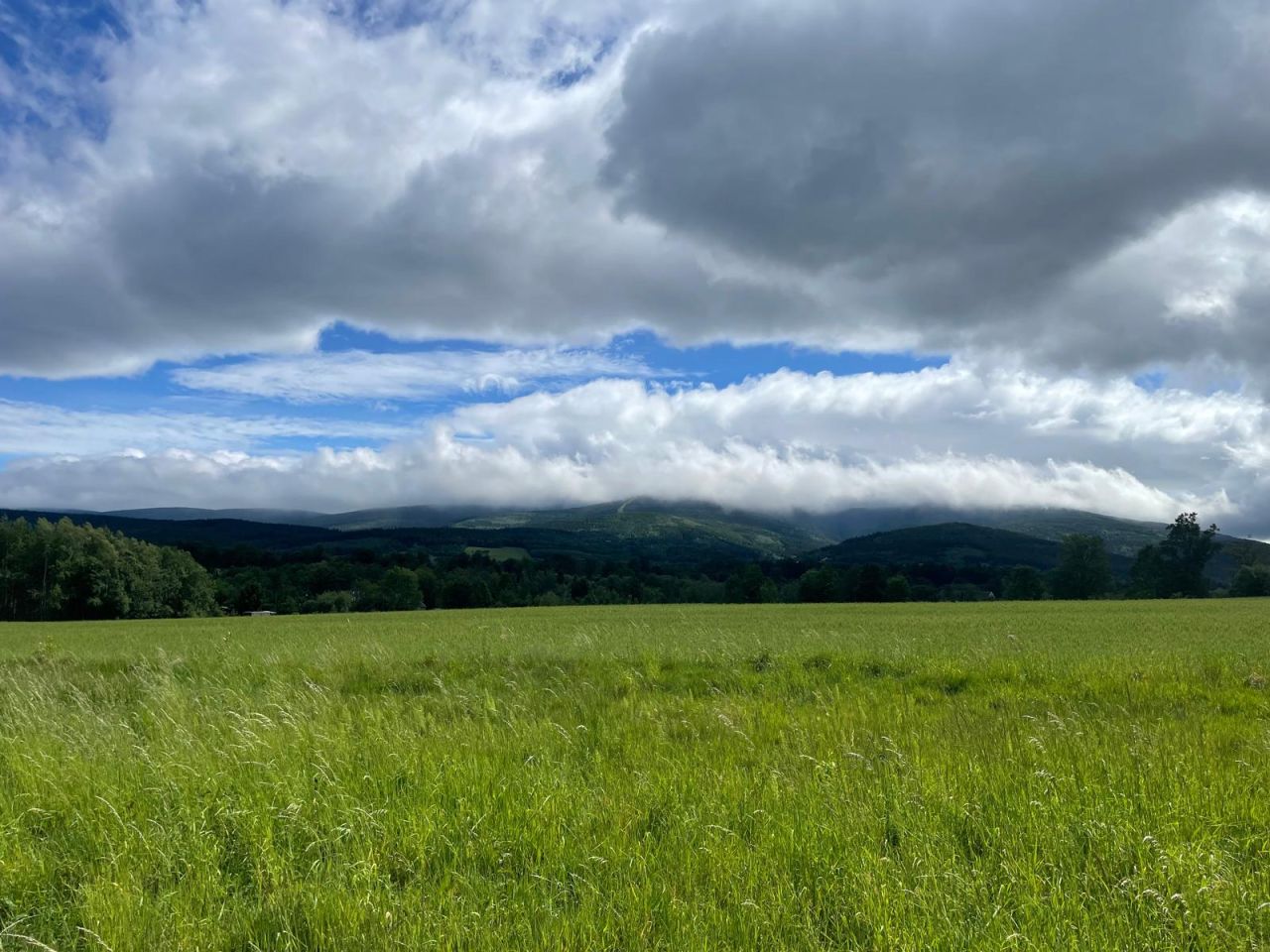 Działka budowlana Pobiedna, ul. Dworcowa. Zdjęcie 3