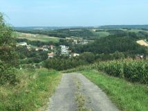 Działka leśna Jawornik Polski. Zdjęcie 3