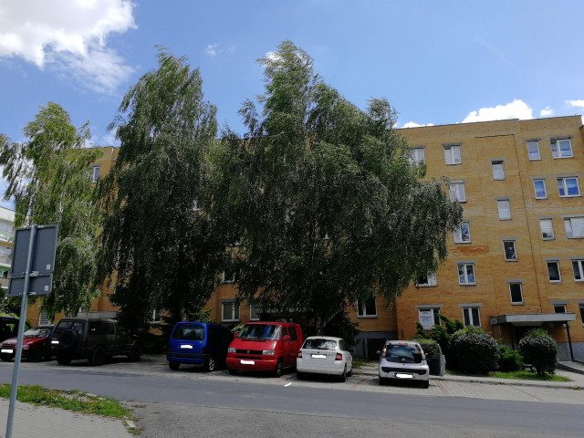 Mieszkanie 2-pokojowe Sandomierz Centrum, ul. Leona Cieśli. Zdjęcie 1