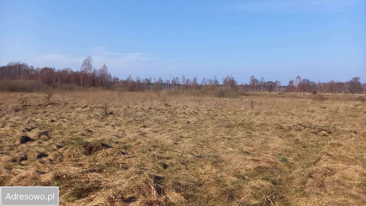 Działka rolna Sasino, ul. Żurawia. Zdjęcie 14