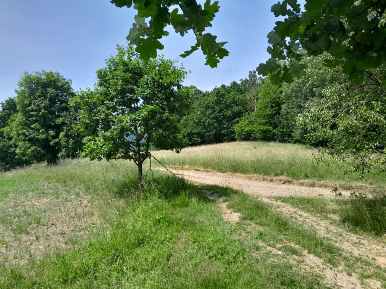 Działka budowlana Starkówek. Zdjęcie 7