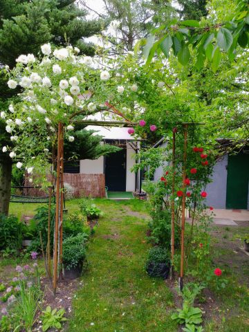 Działka rekreacyjna Radom Idalin, ul. Grzebieniowa. Zdjęcie 1