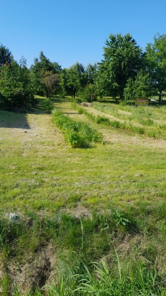 Działka budowlana Krężnica Okrągła. Zdjęcie 2