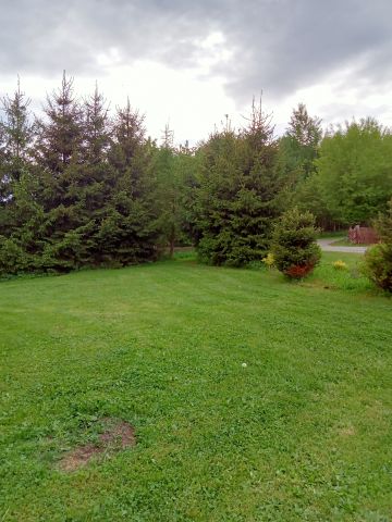 Działka rolna Niwa. Zdjęcie 1