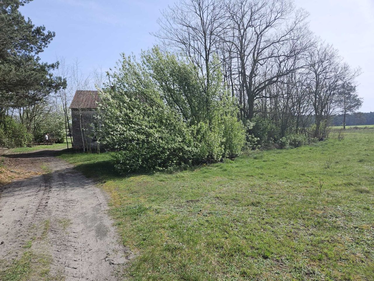 Działka budowlana Piskory. Zdjęcie 5