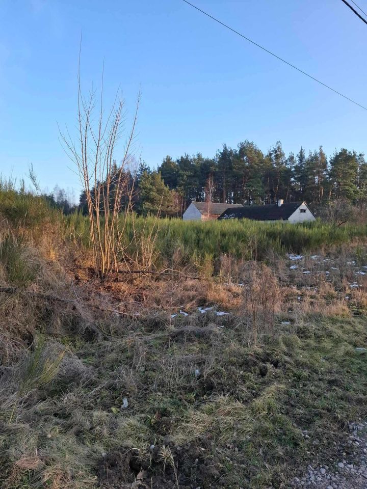 Działka Sadek. Zdjęcie 1