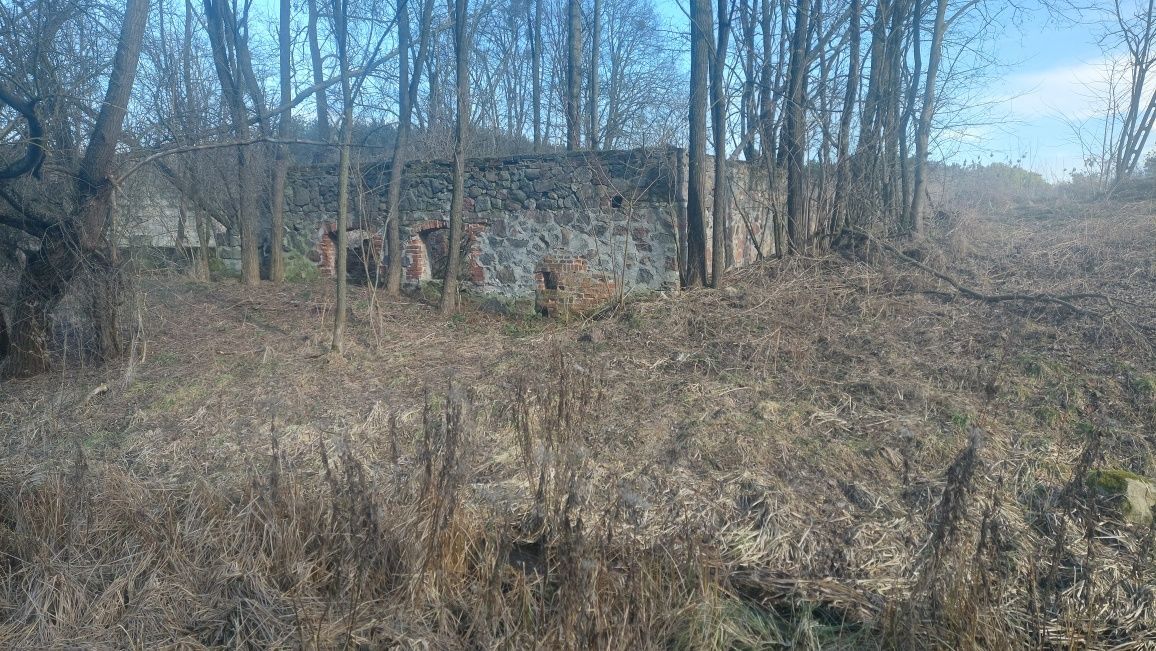 Działka rolno-budowlana Motoga. Zdjęcie 3