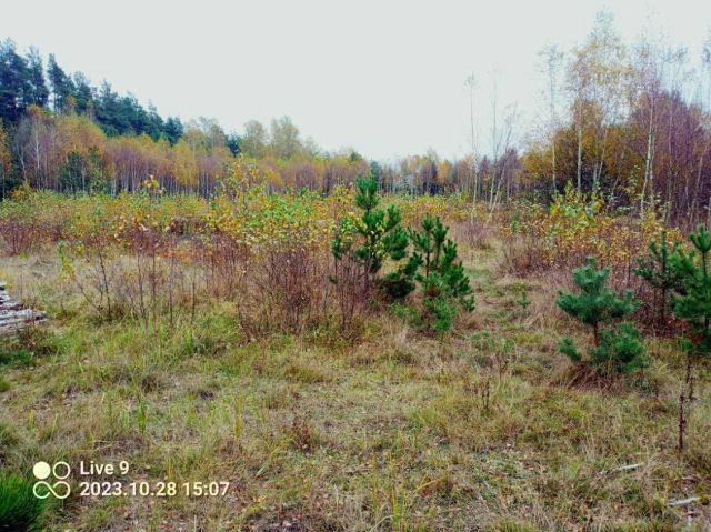 Działka rolna Fletnowo, ul. Międzyleśna. Zdjęcie 1