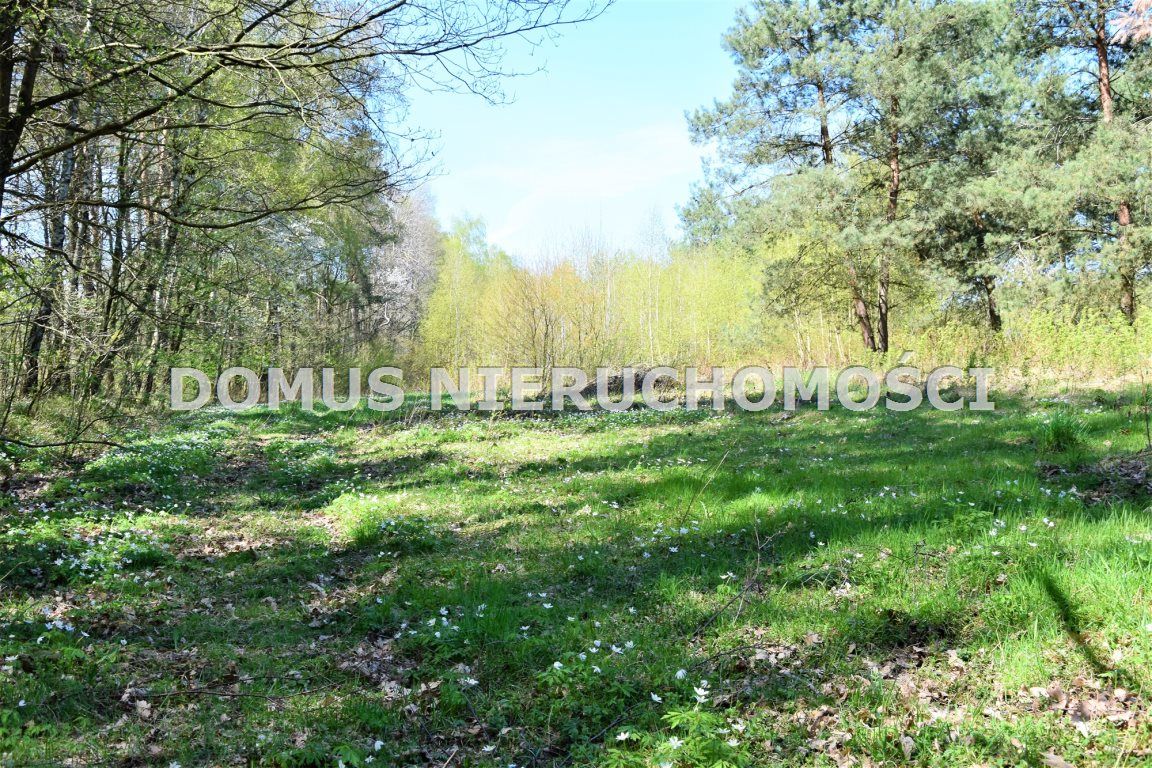 Działka budowlana Pieńki Henrykowskie