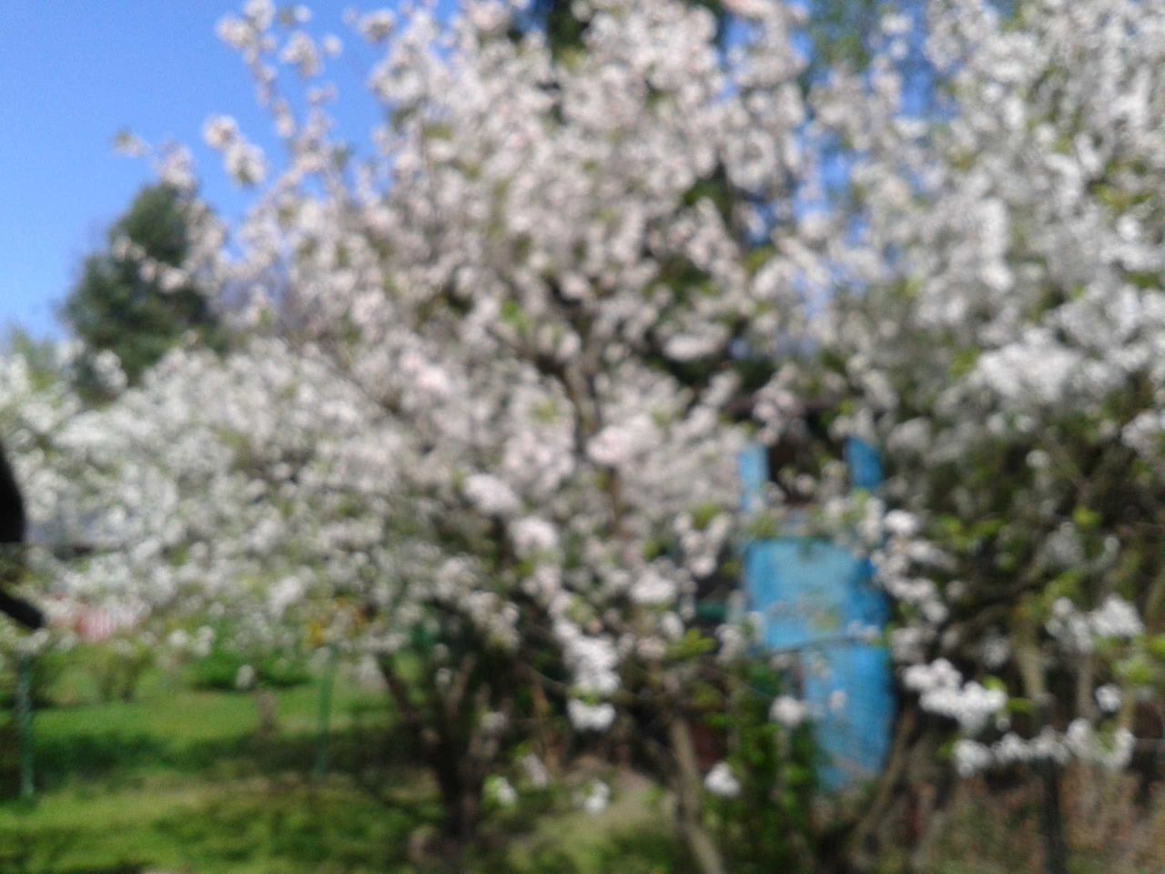 Działka leśna Radom, ul. Janiszewska. Zdjęcie 5