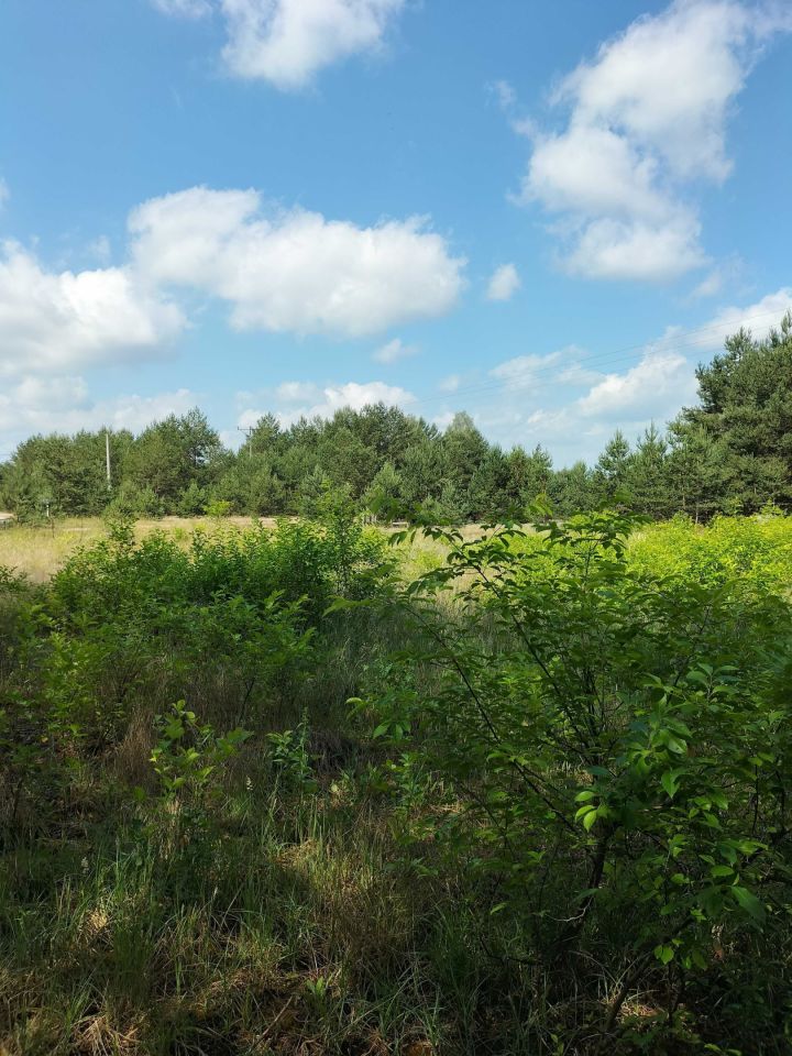 Działka rekreacyjna Chorzele. Zdjęcie 7