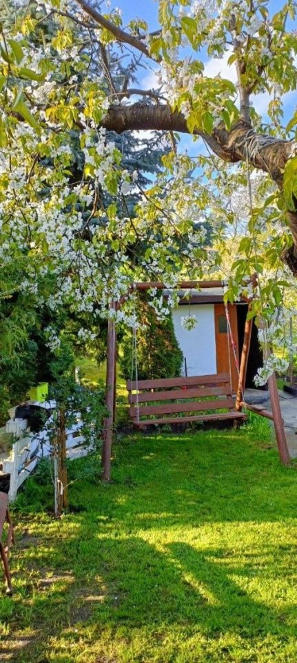 Działka rod Trzemeszno, ul. Działkowa