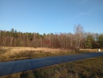 Działka budowlana Kolonia Poczesna. Zdjęcie 1