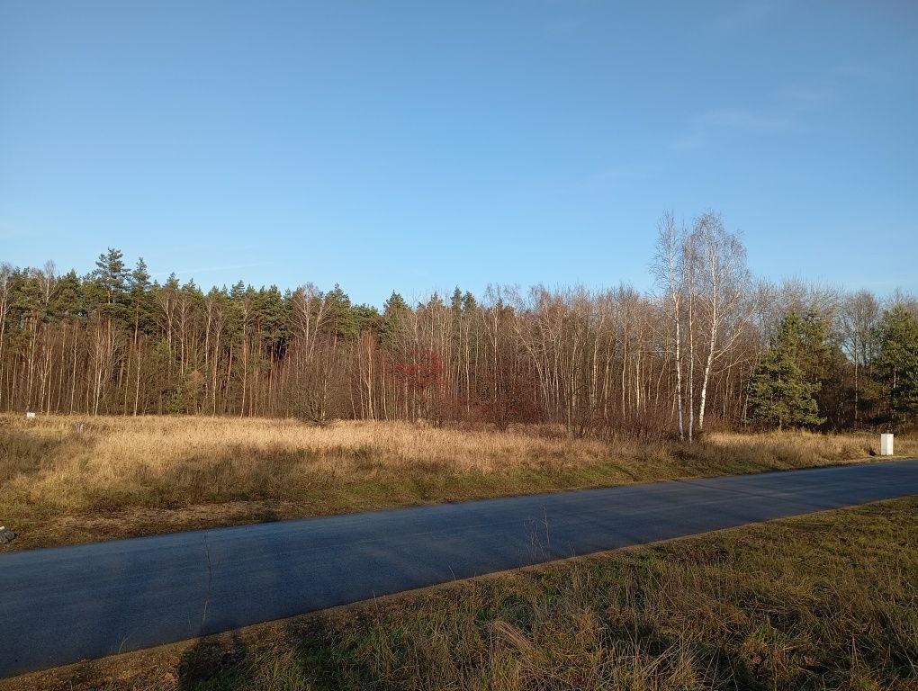 Działka budowlana Kolonia Poczesna. Zdjęcie 2