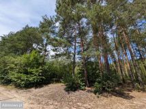 Działka budowlana Grzybów. Zdjęcie 1