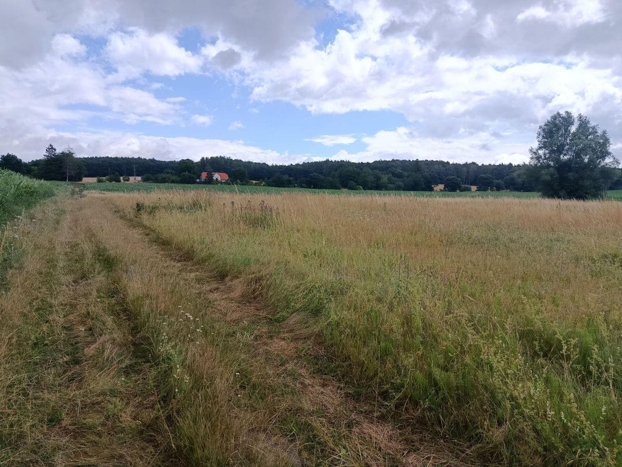 Działka rolno-budowlana Brojce. Zdjęcie 2