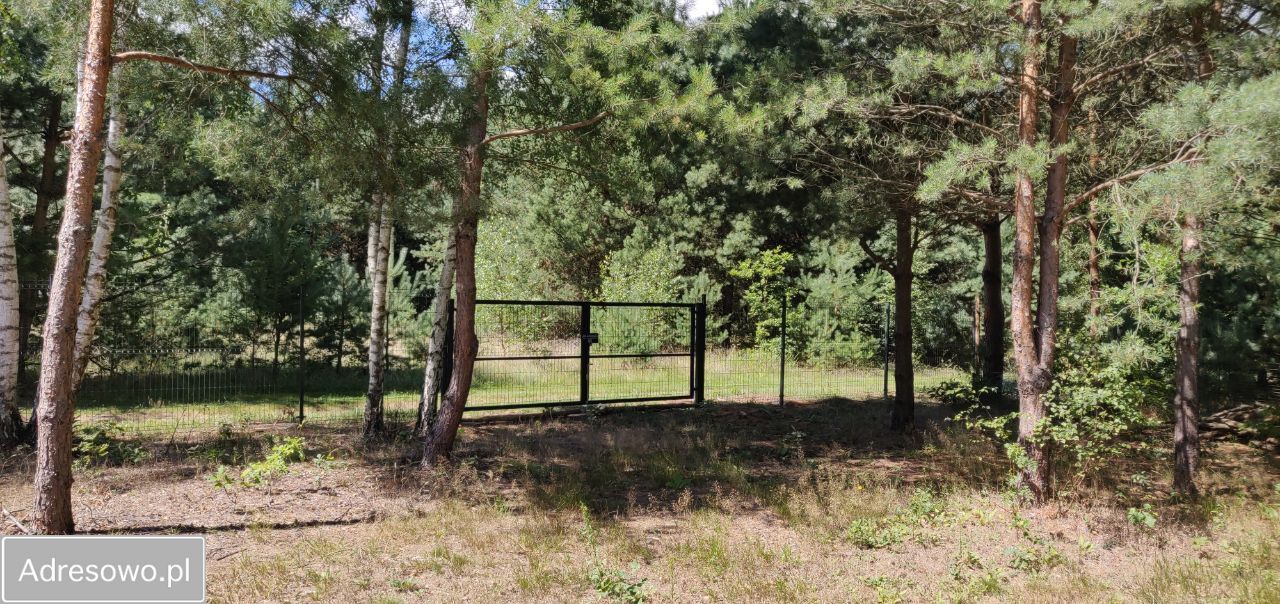 Działka budowlana Borowiec. Zdjęcie 4