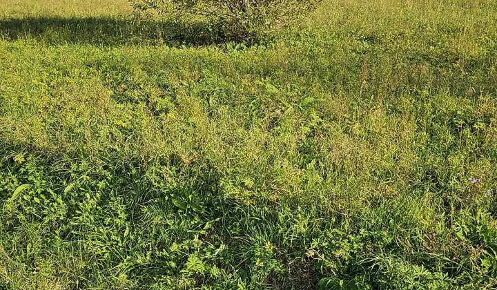 Działka budowlana Osiek Jasielski