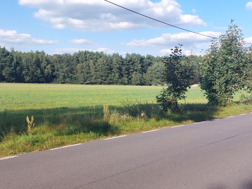 Działka rolno-budowlana Zamęty. Zdjęcie 6